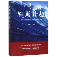 音像潮头跨越:中国石油和化学工业强国梦时代报告李寿生 主编