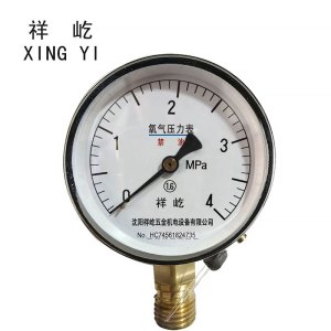 祥屹+氧气压力表检测定制型+YO100+块