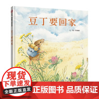 豆丁要回家精装硬壳绘本 儿童绘本0-3岁幼儿园小班一年级经典书籍 宝宝3-6周岁早教认知阅读故事书信谊正版