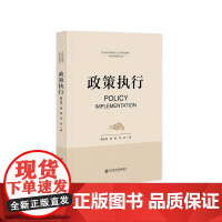 正版 政策执行 作者:陈志光 刘征 李兵 中共北京市委党校(北京行政学院)学术文库系列丛书