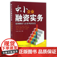 中小企业融资实务(案例解析与法律风险防范)