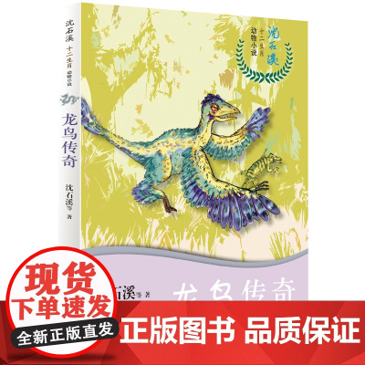 龙鸟传奇 沈石溪十二生肖动物小说 8-10-12岁小学生三四五六年级儿童文学小说故事书课外书籍寒暑假学校 阅读书目新华正
