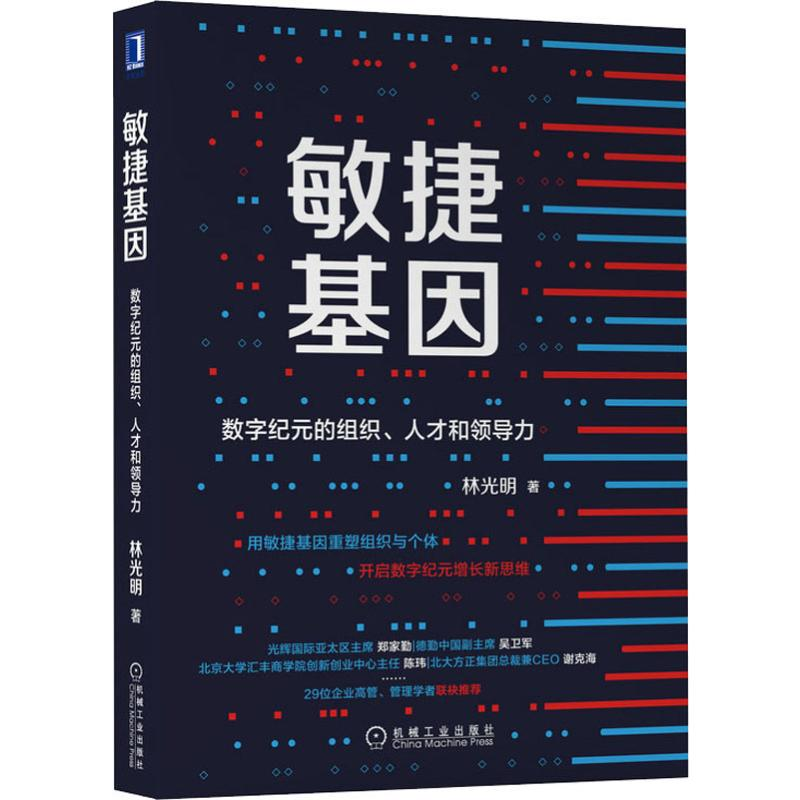 音像敏捷基因 数字纪元的组织、人才和领导力林光明