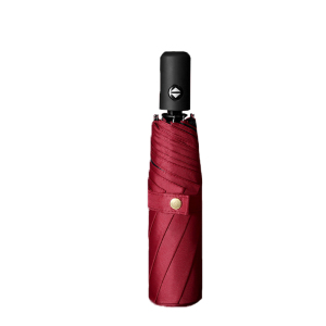 统狮太阳伞P73 把