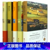 [正版]外国文学名著套装5册 汤姆叔叔的小屋 爱的教育 父与子 柳林风声 水孩子 中文版学生课外读物成人书 图书籍