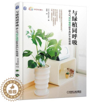 [醉染正版]与绿植同呼吸 超人气观叶植物新手养护不败指南 室内装饰植物购买方法养护浇水施肥技巧病虫害防治方法修剪繁殖栽培