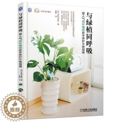 [醉染正版]与绿植同呼吸 超人气观叶植物新手养护不败指南 室内装饰植物购买方法养护浇水施肥技巧病虫害防治方法修剪繁殖栽培