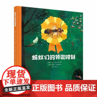 蚂蚁们的领奖时刻