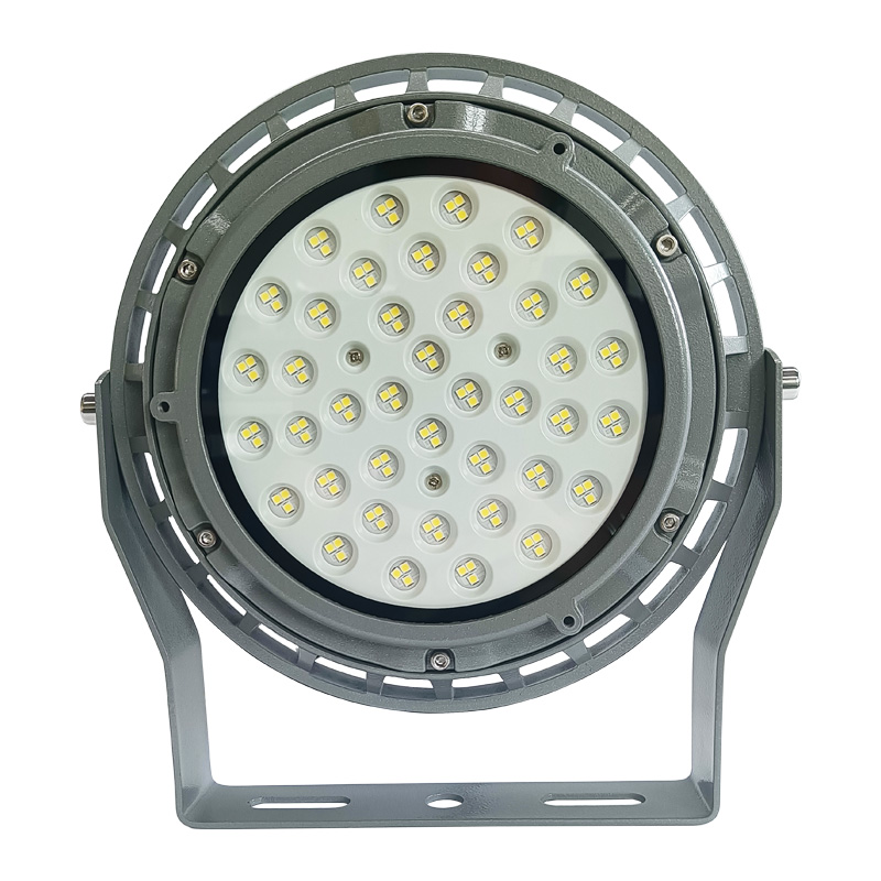 鼎晟丰(DSF) DSFG-911-100 100W LED泛光灯 个 灰色