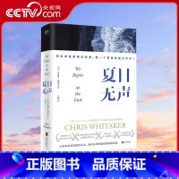 [正版]央视网夏日无声 卫报 每日邮报 镜报 年度悬疑小说美国亚马逊年度百佳图书犯罪小说作家协会金匕首奖外国文学书