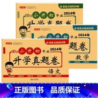 [升学真题卷-3册]语文+数学+英语 小学升初中 [正版]2024版小升初真题卷必刷题人教版六年级下册试卷测试卷全套语文