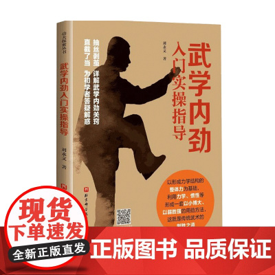 武学内劲入门实操指导刘永文 著 体育健身