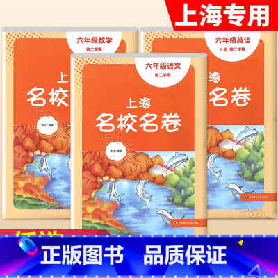 6年级下[套装3本]语数英 大字版 初中通用 [正版]2024春季上海名校名卷六年级七八九上册下册数学语文英语物理化学沪