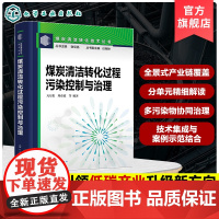 煤炭清洁转化过程污染控制与治理 煤炭清洁转化技术丛书 典型大型煤化工装置污染物综合治理案例 煤洁净利用行业专业人员参考书