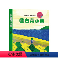 [全套5册]圆白菜小弟 [正版]圆白菜小弟(全5册)获日本绘本大奖 连续多年被日本幼儿园票选为孩子喜爱的绘本