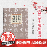 颜真卿多宝塔碑临习歌诀 梁永成 书法碑帖篆刻 楷书 上海书画出版社