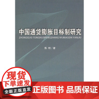 中国通货膨胀目标制研究