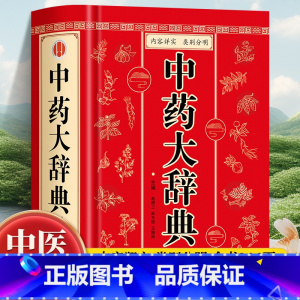 中医膏方辞典 [正版]中药大辞典 精装版全套 原版 中药学书籍词典 辞典中药书中药材中药字典中医药大词典药学医学工具书药