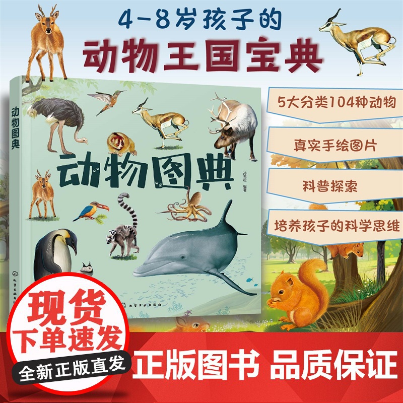 动物图典 孙雪松 3-8岁儿童孩子幼儿园低年级一二三年级动物王国宝典科普读物图书籍 5大分类104种动物 真实手绘图片