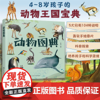 动物图典 孙雪松 3-8岁儿童孩子幼儿园低年级一二三年级动物王国宝典科普读物图书籍 5大分类104种动物 真实手绘图片
