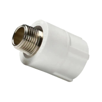 金鉝铭 PPR外螺纹直接 63*2寸 /只