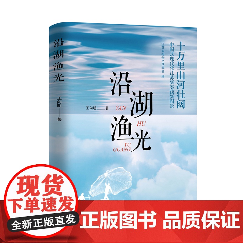 沿湖渔光 王向明著 凝聚一个小渔村不屈不挠的奋斗史,书写了一代人砥砺前行的真实故事 一部真实质朴、触动心灵的作品