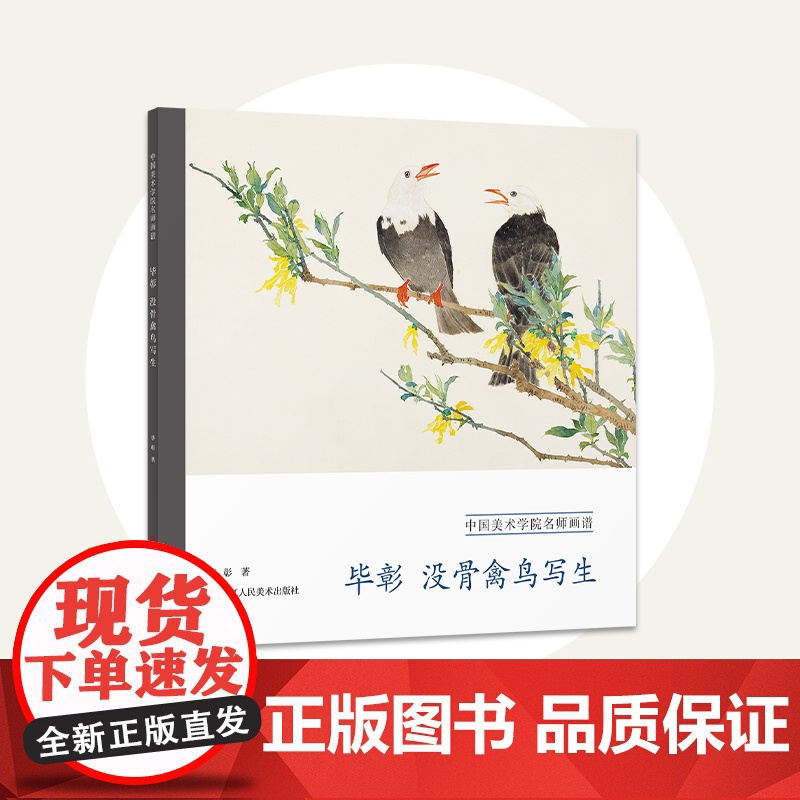 毕彰 没骨禽鸟写生 中国美术学院名师画谱 花鸟鉴赏 绘画技法训练步骤解析临摹教材 高清画谱范本基础教程书籍供初学者学习参