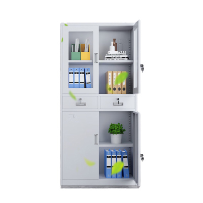 成英兴业 文件储物铁皮柜 WJG 个