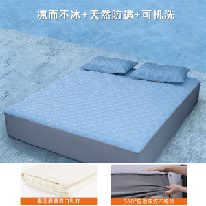 POKALEN凉席床笠款冰丝席乳胶夏天夏季纯棉全包床罩三件套可机洗