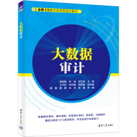 正版新书]大数据审计苟聪聪 李锐 胡玉姣 主编 王文姣 邓利梅