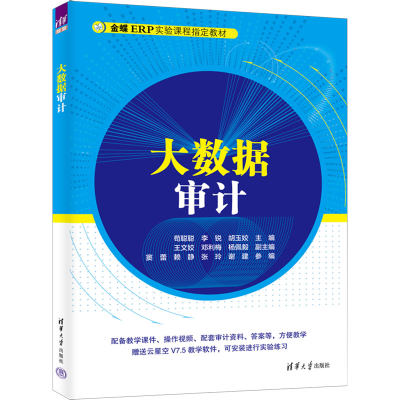正版新书]大数据审计苟聪聪 李锐 胡玉姣 主编 王文姣 邓利梅