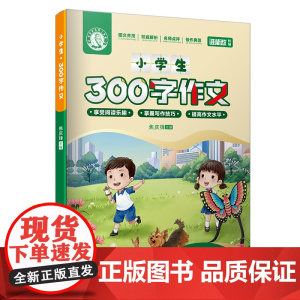 小学生300字作文