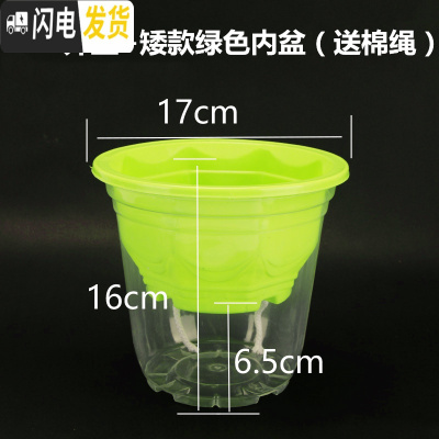 三维工匠绿萝专用花盆塑料加厚自动吸水透明懒人花盆创意室内储水花盆 170套装:绿色(5个装)送棉绳 大花盆容器