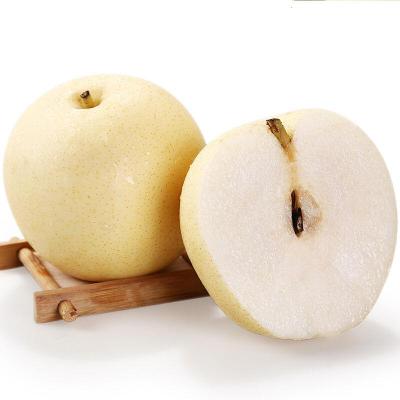 皇冠梨白皮梨脆甜多汁当季现摘新鲜梨子水果5斤装 (单果200g起)甘鲜生