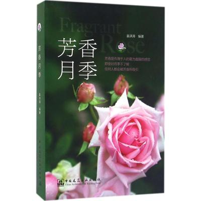 芳香月季