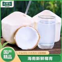 [苏鲜生]海南椰青 4个装 新鲜椰子 当季热带水果 汁水充沛