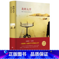 [正版]精装全译我的大学 高尔基 书籍 大悦读语文阅读丛书 少儿读物励志 书籍排行榜CD