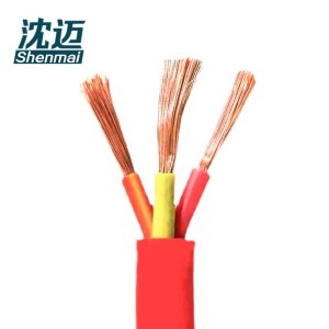 沈迈 铜芯硅橡胶耐高温电缆 YGCR-3*6平方 1米