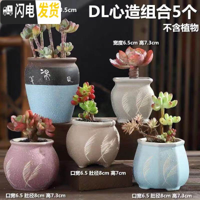 三维工匠多肉花盆陶瓷粗陶透气室内简约肉肉盆栽特大口径花盆 DL心造组合5个 中等花盆容器