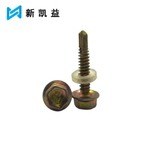 新凯益 自攻螺丝燕尾螺丝 5.5*19mm 个