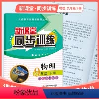 物理 九年级/初中三年级 [正版]2024新课堂同步训练物理九年级下册课堂辅导人教版专项训练九年级