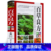 [正版]百草良方彩色图鉴图解中草药中药材彩色图谱附偏方秘方验方药方大全 中药材药方养生中医养生保健本草纲目中医学入门图