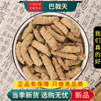 巴戟天100克干货新货泡水泡茶花草茶官方店甄选巴戟天另有杜仲红枸杞9260