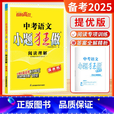 [备考2025]中考语文(阅读理解) 初中通用 [正版]2025新版恩波教育中考小题狂做提优版语文数学英语物理化学语言文
