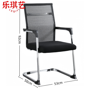 乐琪艺