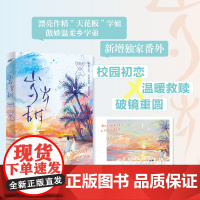 岁岁甜(新锐作家许念念继《她与白玫瑰》后全新救赎小说,温暖救赎X破镜重圆 许念念 江苏凤凰文艺出版社 正版书籍