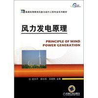 正版新书]风力发电原理徐大平9787111353454