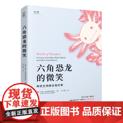 六角恐龙的微笑