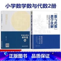 全2本[小学数学大单元教学]袁晓萍著 [正版]小学数学大单元整体教学设计 学会向学生借智慧2.0袁晓萍数与代数教学优解跨