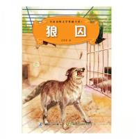 正版新书]狼囚金曾豪9787503037634